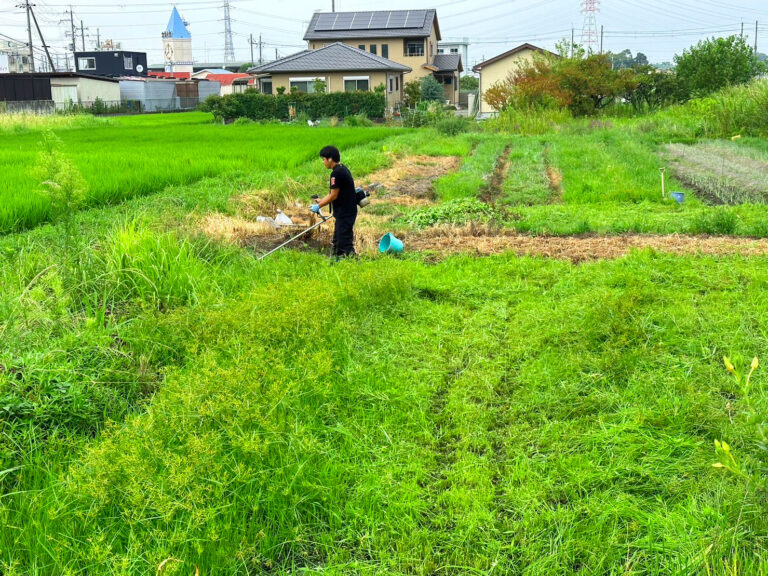 活動内容画像