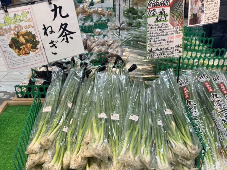 活動内容画像