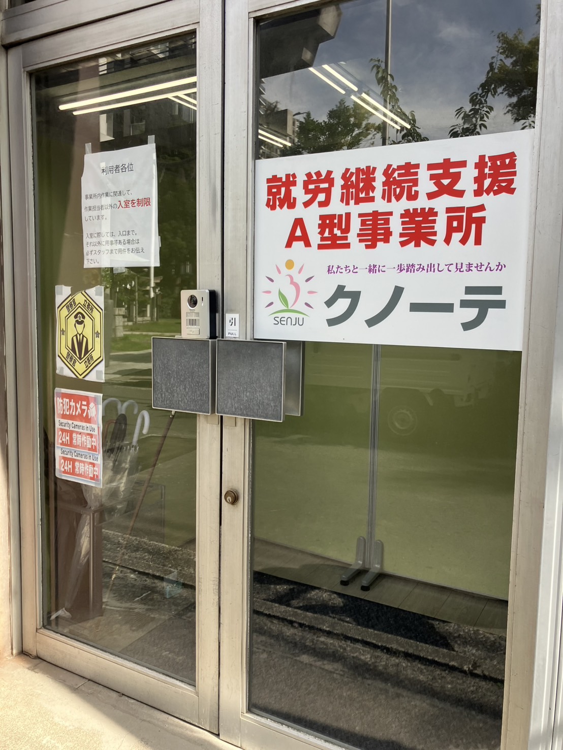 クノーテ　①