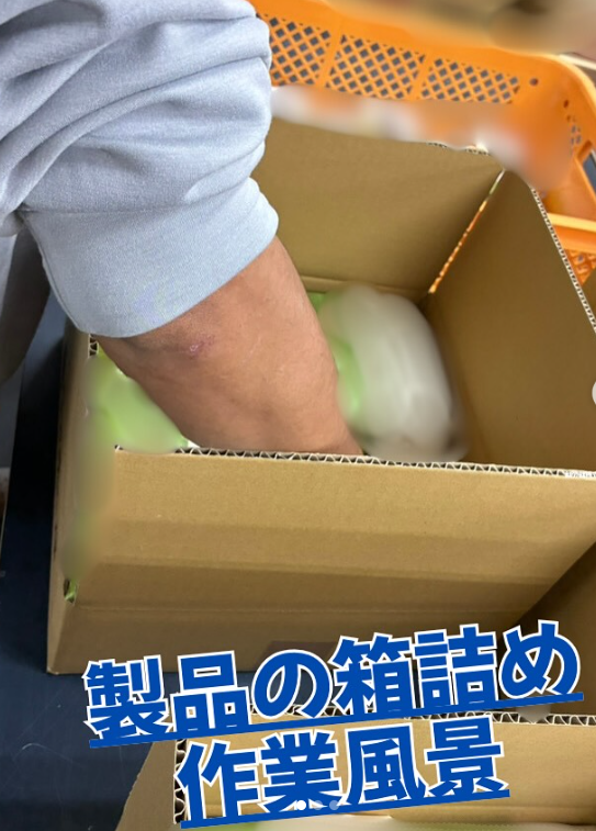 軽作業