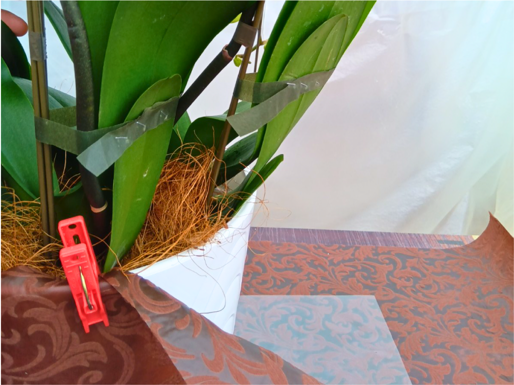 仕事内容画像