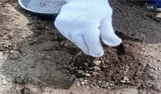 スクリーンショット 2026-04-22 114314.png