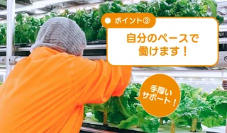 CW様 リタリコ用画像 (4).png