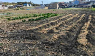 PXL_20260315_060621188 (1).jpg