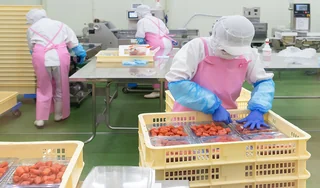 【千手】事業所TOP②