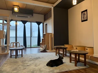 内装