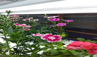 ライフケア春日事業所03