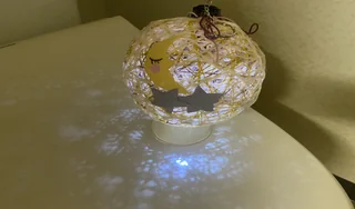 ライフナース藤崎自社商品-1