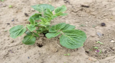 スクリーンショット 2026-04-22 114338.png