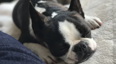 スタッフ紹介３