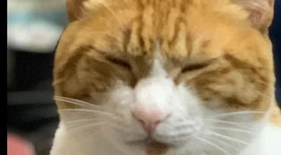 スタッフ紹介７