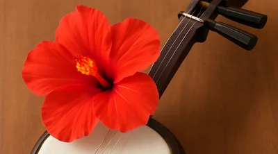 職員紹介何松さん