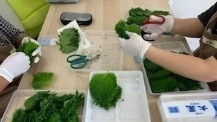 だいこん畑 東部市場店