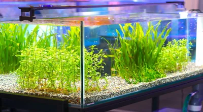 スクリーンショット 2026-03-23 163938.png