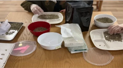 スクリーンショット 2026-02-27 154929.png