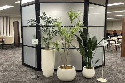 八王子